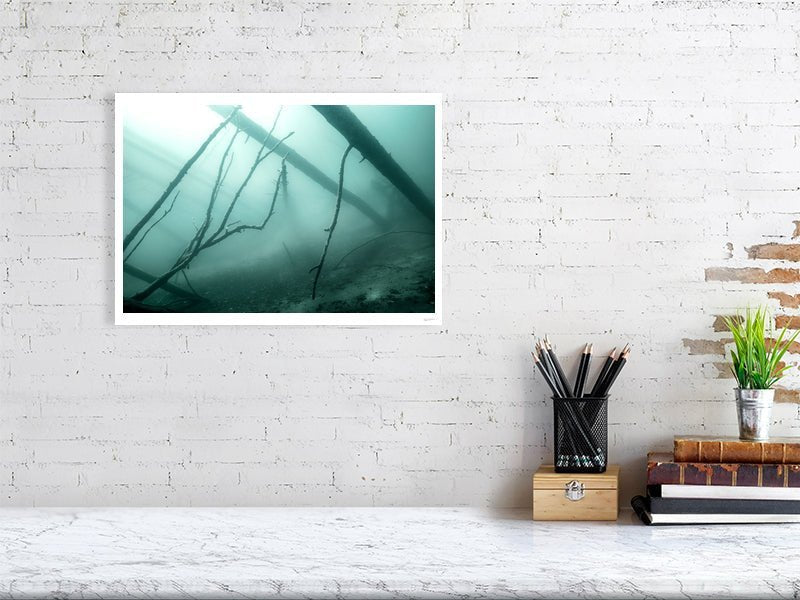 Photo print of sunken forest underwater with mist, eerie atmosphere, white living room wall.