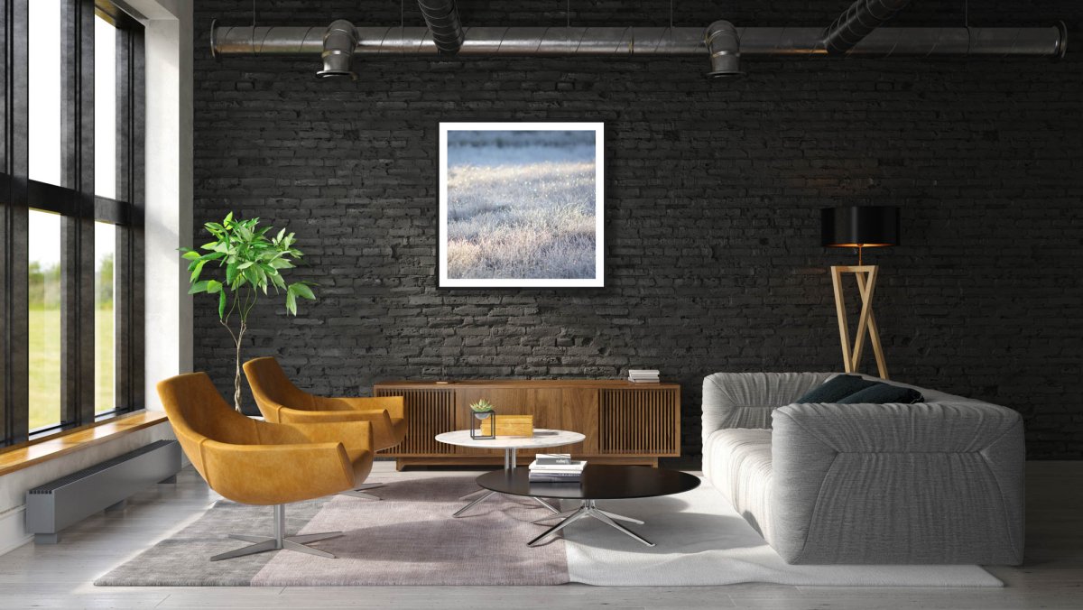 Framed photo of frosty marsh with sparkling sunlight, black frame, white living room wall.
