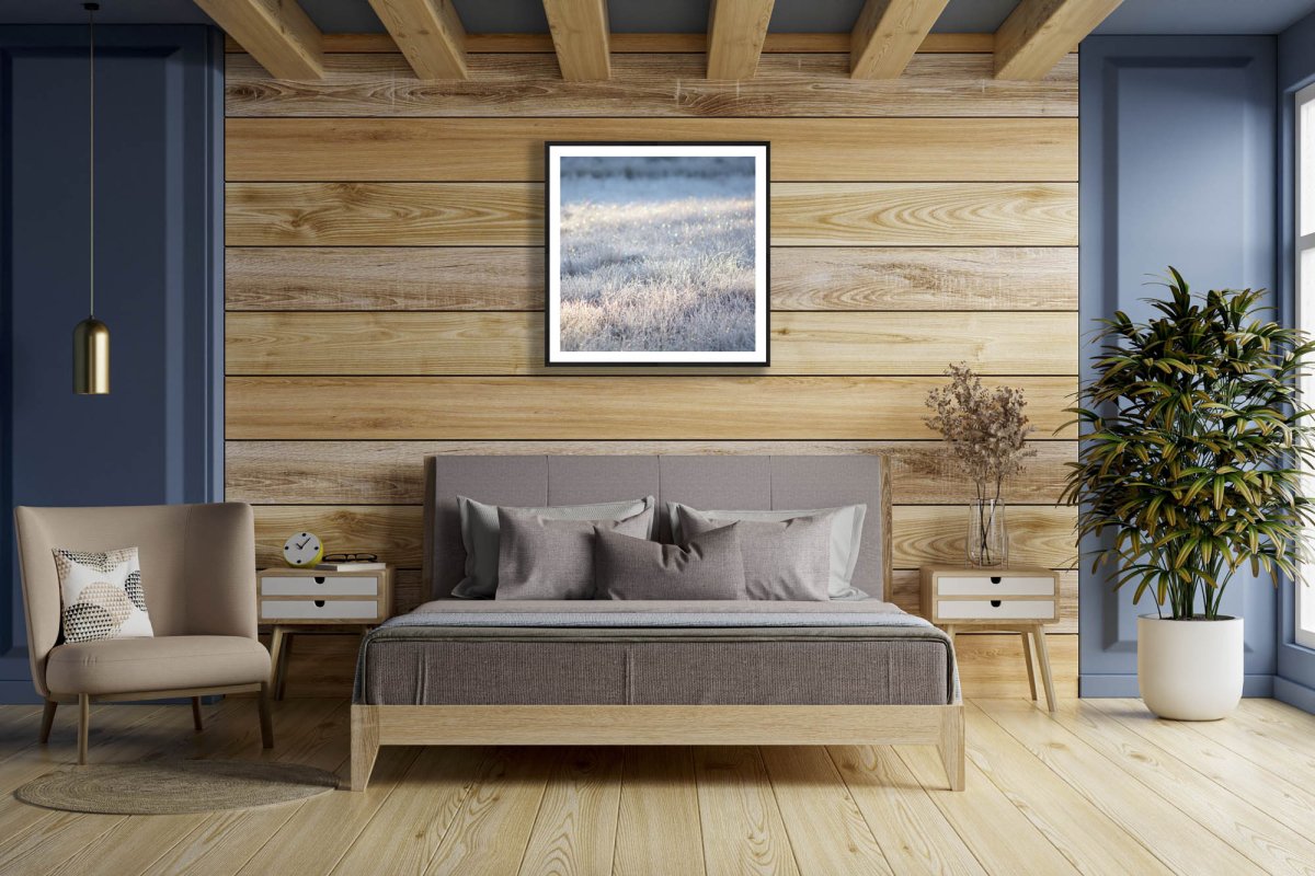 Framed photo of frosty marsh with sparkling sunlight, black frame, wooden bedroom wall.