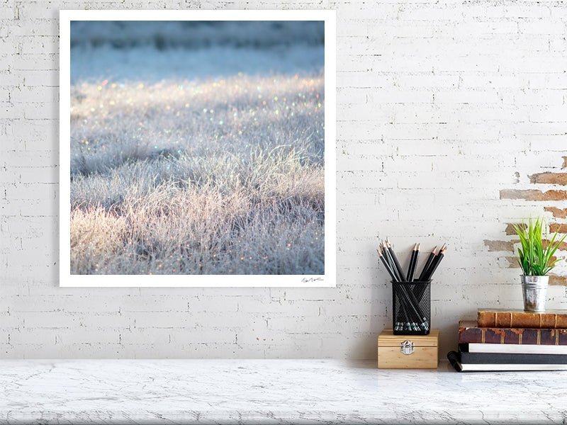 Photo print of frosty marsh with sparkling sunlight, white living room wall.