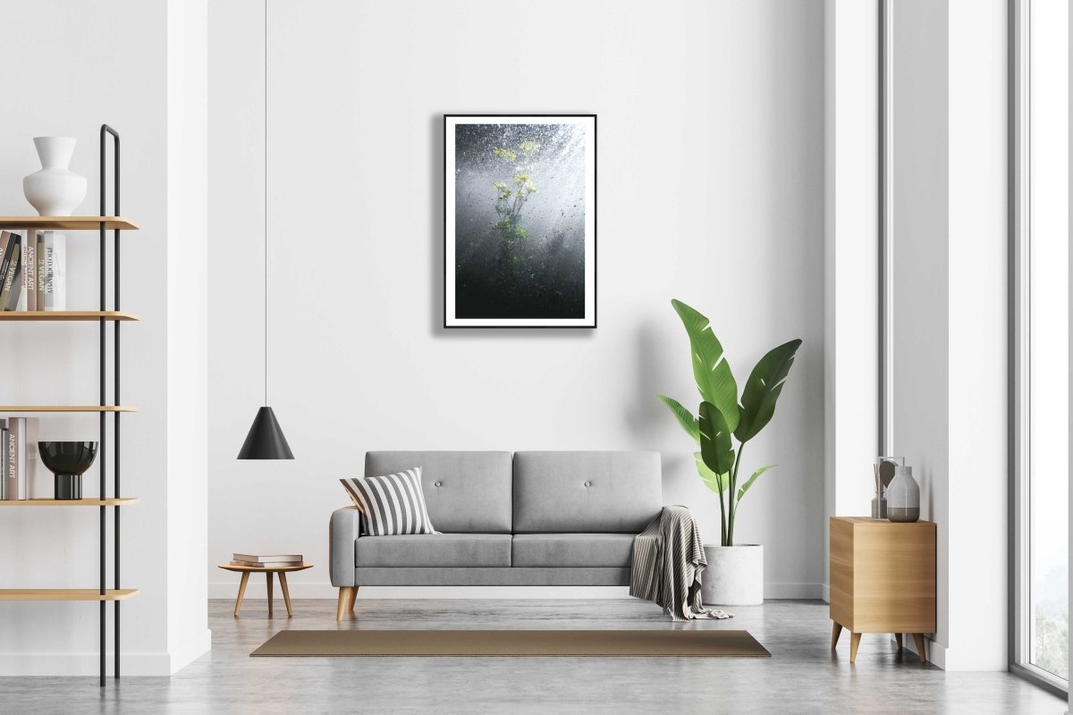 Framed water crowfoot blooms photo, white wall above sofa in modern living room.