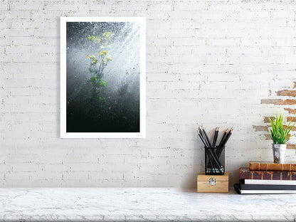 Fine art photography print of water crowfoot blooms underwater in the stream, displayed on a white wall in a living room.