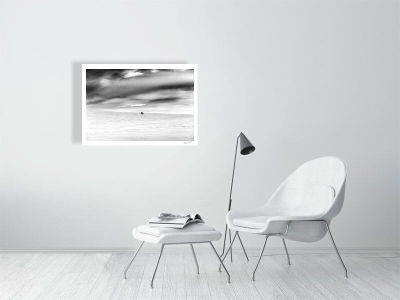Black and white photo of mountain birch standing firm in frozen Arctic wilderness, white living room wall.