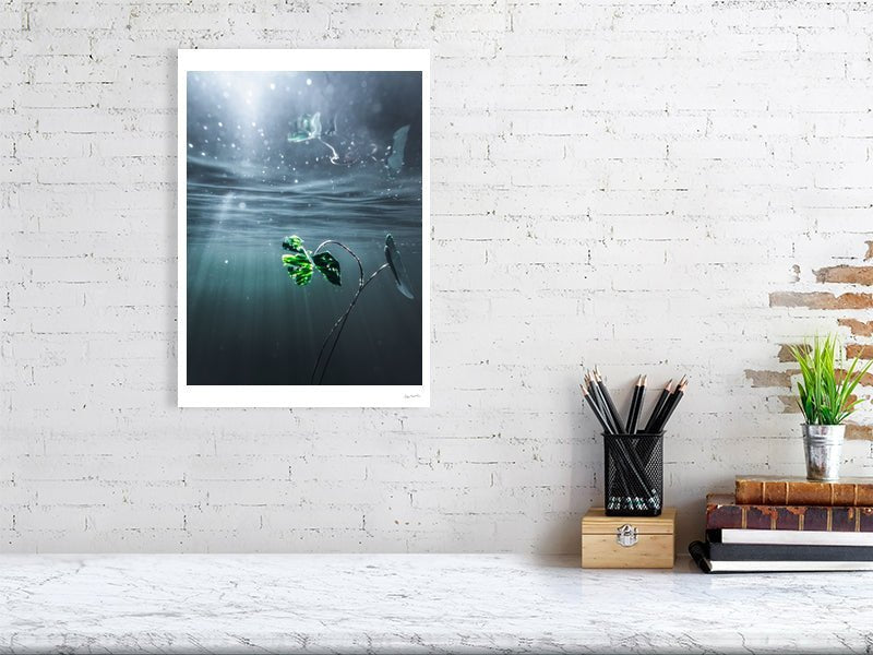 Photo print of underwater water lily reflection with rays of light, white living room wall.