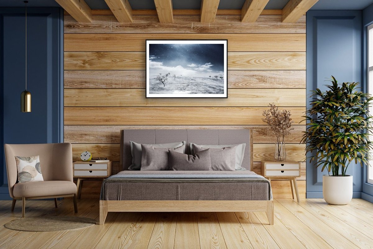 Framed Arctic wilderness photo, windswept snow, stark black mountain birches on snow, on wooden wall in bedroom.