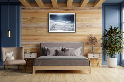 Framed Arctic wilderness photo, windswept snow, stark black mountain birches on snow, on wooden wall in bedroom.