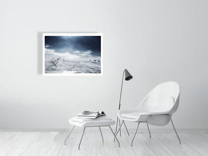 Arctic wilderness photo print, windswept snow, stark black mountain birches on snow, on white wall in bedroom.