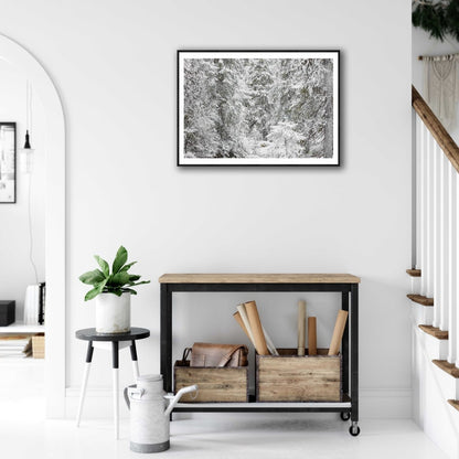 Framed spruce forest in early winter snow, hung on white wall above desk.