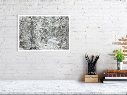 Photo print of an old spruce forest covered in early winter snow, displayed on a white wall in a living room.