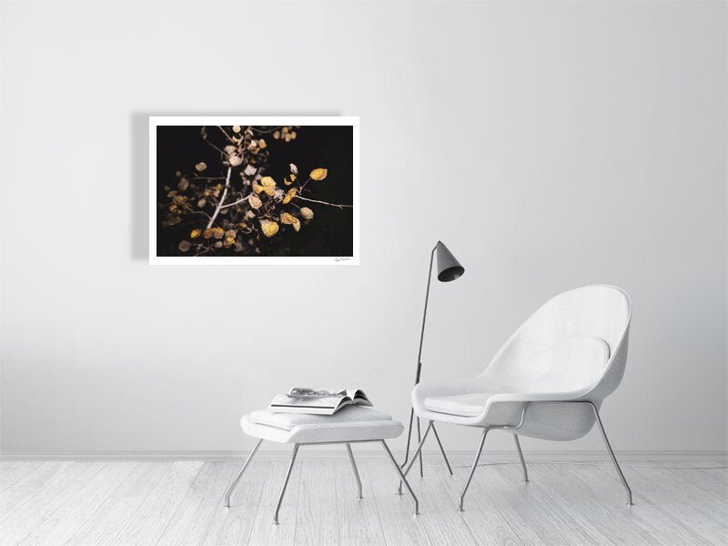 Fine art print of aspen tree with fiery leaves, displayed on white living room wall.