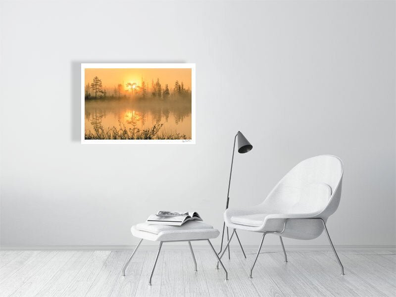 Fine art print of a Forest pond at sunrise, mirror-like water reflecting golden hues, on a white wall in a living room.