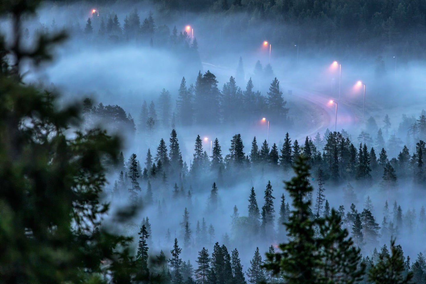 Aerial photo of fog-covered forest with winding road and streetlights, landscape fading in the mist.