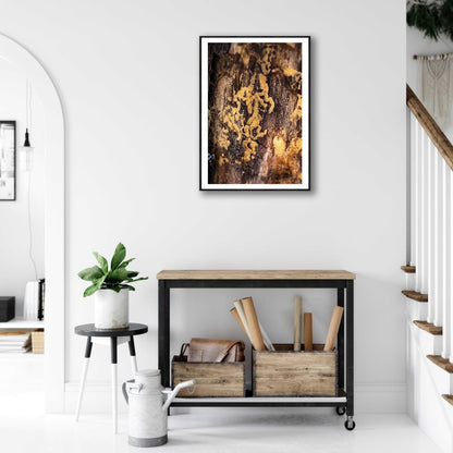 Framed fine art photography print of a bark beetle marks on a tree, on a white wall above a small desk in a living room.