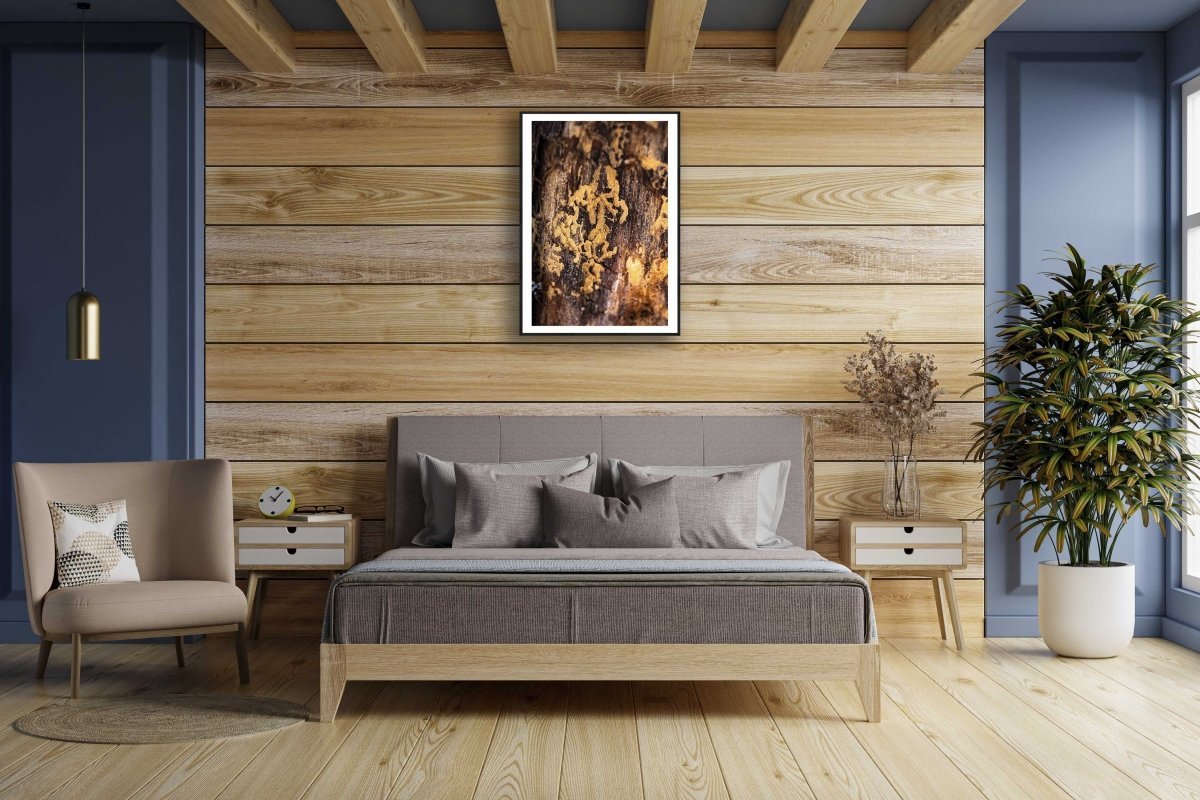 Framed fine art photography print of a close-up of bark beetle marks on a tree, on a wooden wall above a bed in a bedroom.