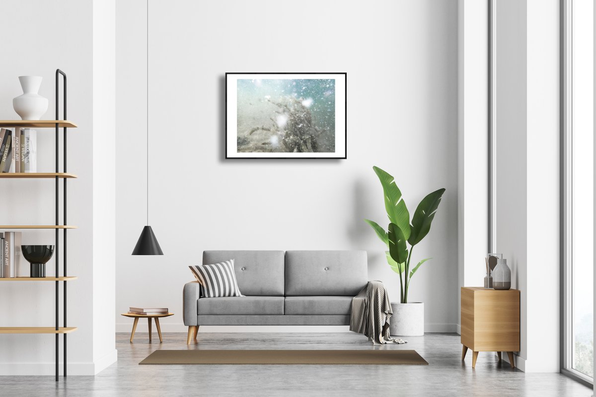 Framed print of The silt is messing up visibility near the water plant at the bottom of the lake above a sofa in a living room.