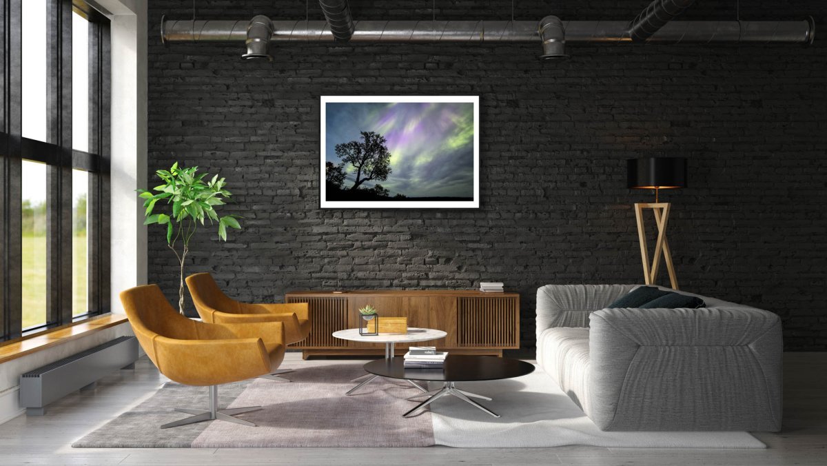 Fine art print of mountain birch tree silhouetted against Auroras, black-framed, on black brick wall in living room.
