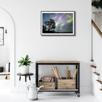 Fine art print of mountain birch tree silhouetted against Auroras, black-framed, on white living room wall above desk.