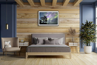 Fine art print of mountain birch tree silhouetted against Aurora borealis, black-framed, on wooden bedroom wall above bed.