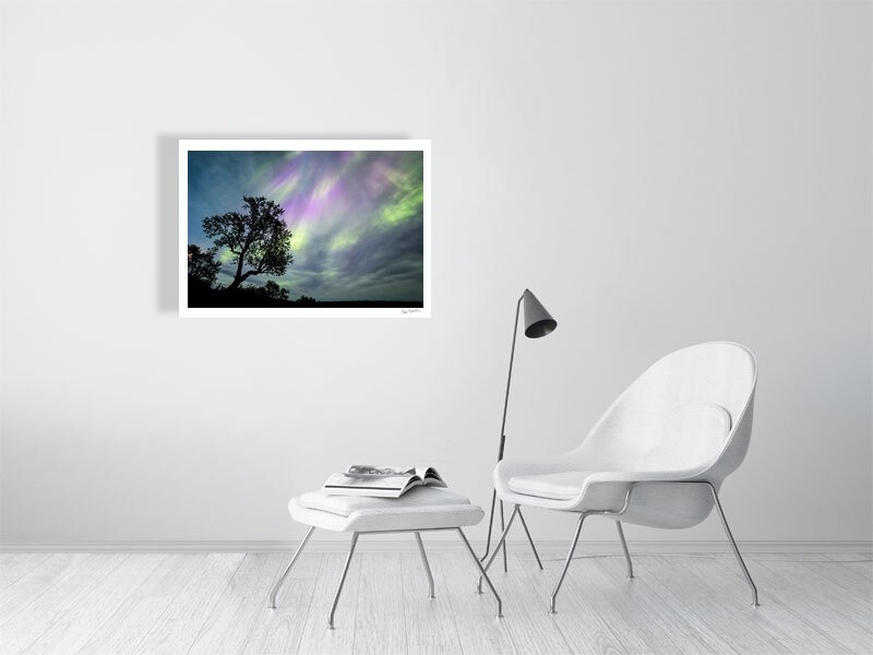 Fine art photography print of mountain birch tree silhouetted against Aurora borealis, displayed on white living room wall.