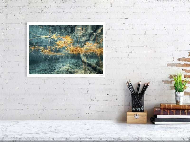 Underwater lake scene print, surreal yellow autumn plant reflections, white living room wall.
