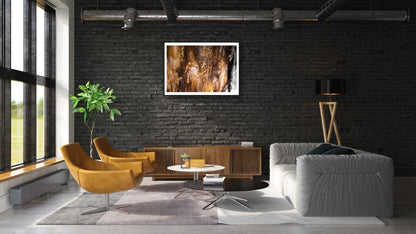 Close-up bark beetle tracks print on black brick wall in modern living room.
