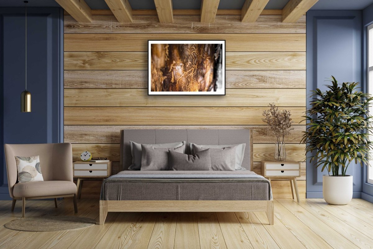 Framed bark beetle tracks print, close-up tilt-shift, on wooden wall above bed.