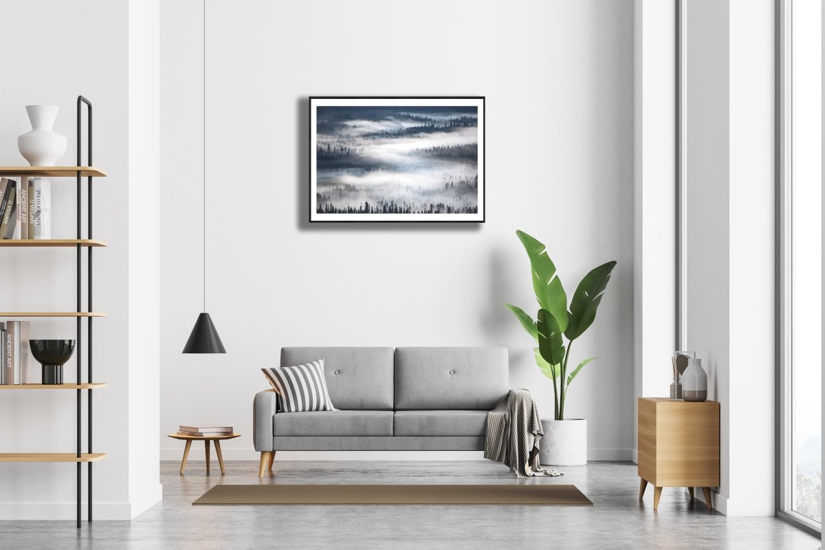 Framed foggy boreal forest photo, tree silhouettes, white living room wall.