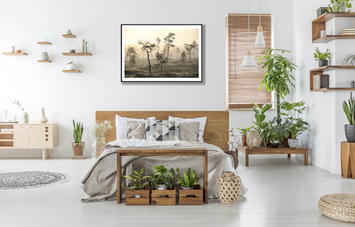 Framed sunrise in forested marshland photo, morning dew and mist, white bedroom wall.