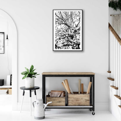 Framed print of a black and white close-up of a winter birch tree, on a white wall above a small desk in a living room.