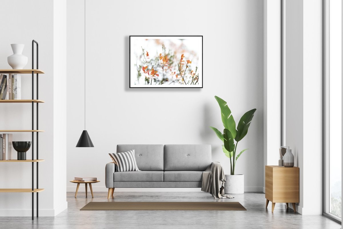 Fine art print of snowy blueberry bushes with autumn leaves, in a black wood frame on a white wall above a living room sofa.