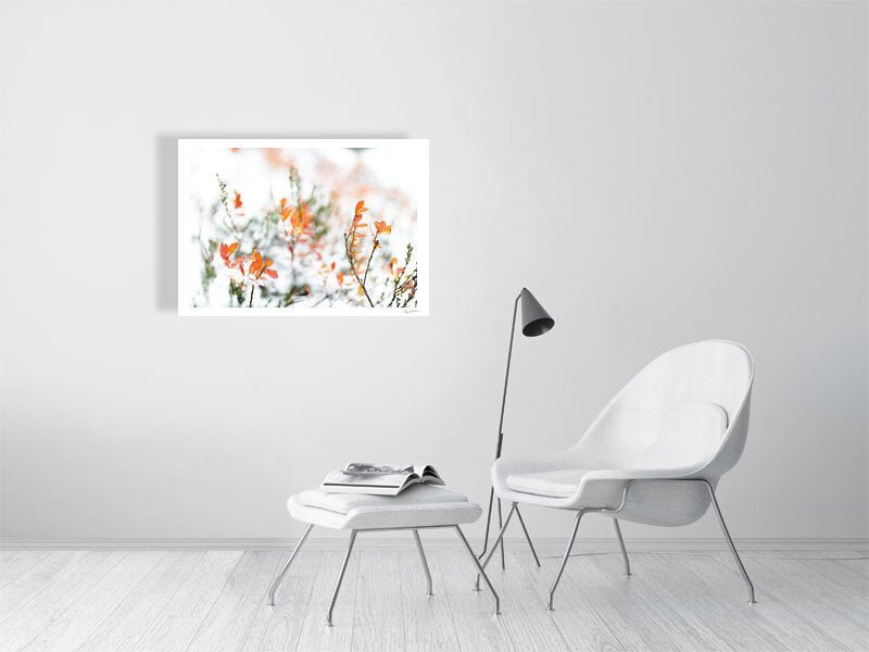 Fine art photography print of snowy blueberry bushes with autumn leaves, displayed on a white wall in a living room.