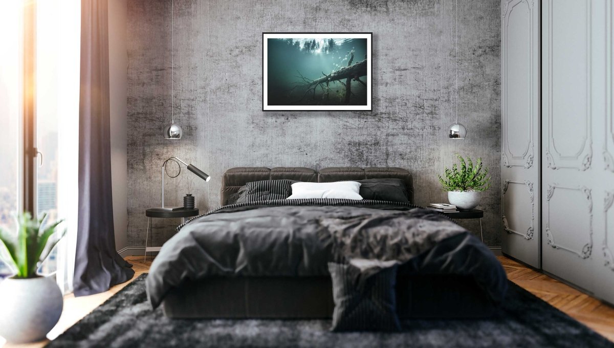 Framed underwater photo of fallen tree, plants, sunlight through forest, grey stone bedroom wall.