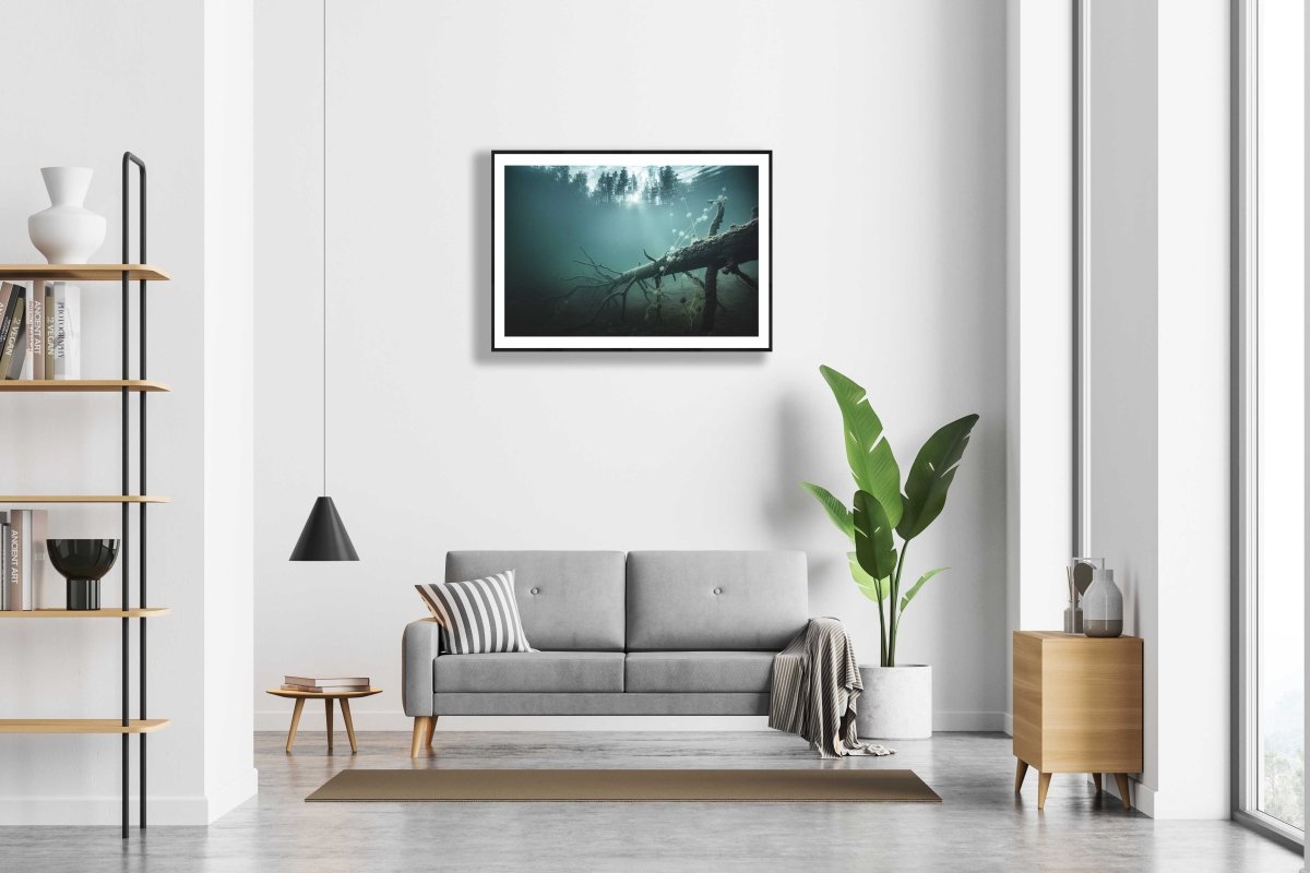 Framed underwater photo of fallen tree, plants, sunlight through forest, white living room wall.