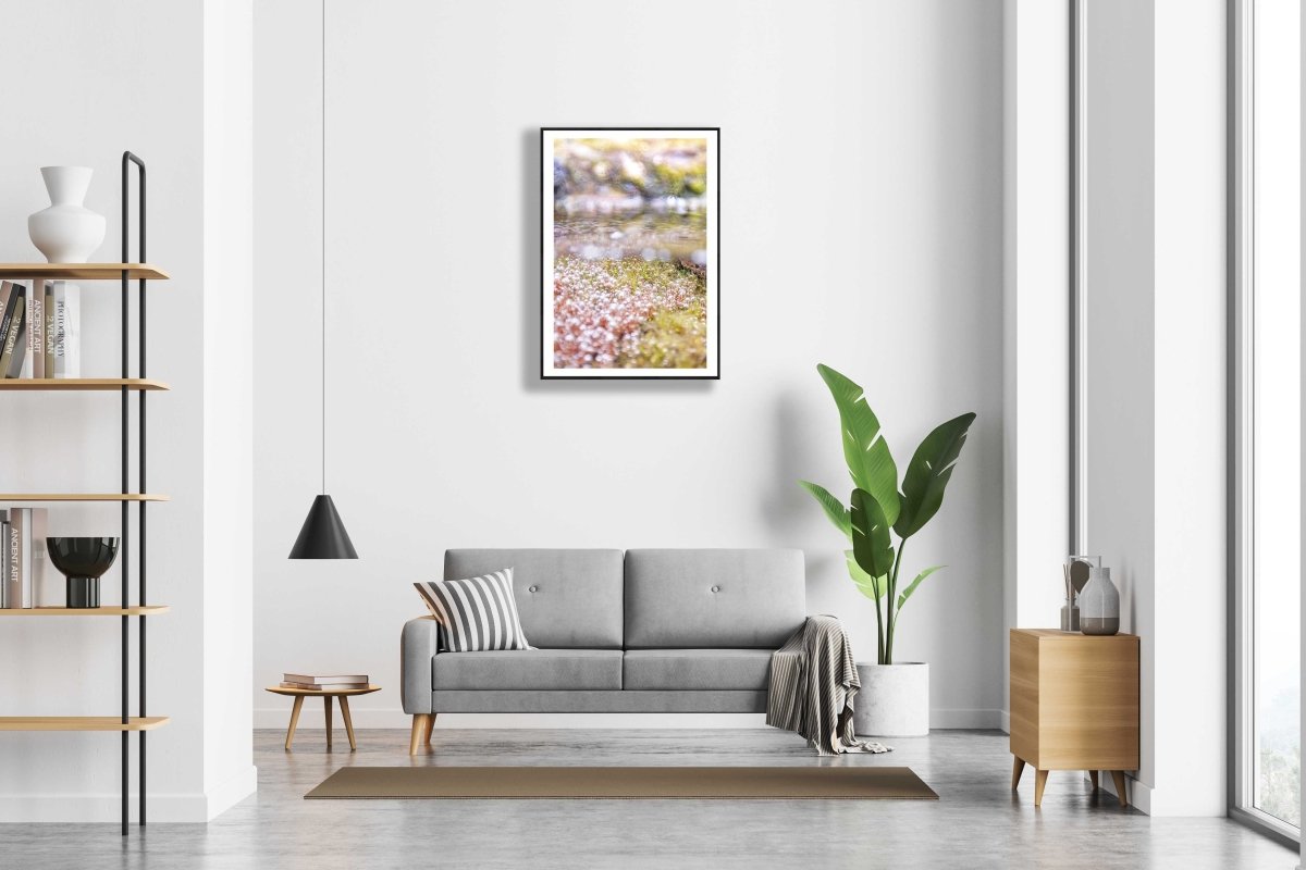 Framed fine art print of a close-up of underwater spring growth, hangs on a white wall above a sofa in a modern living room.