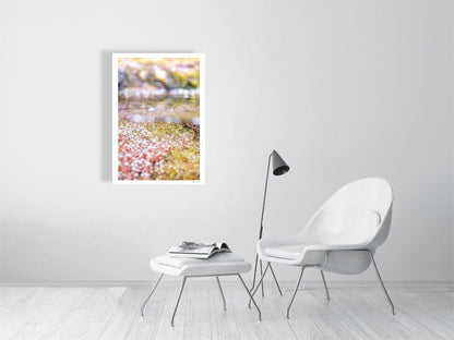 Fine art photography print of a close-up of underwater spring growth, displayed on a white wall in a living room.