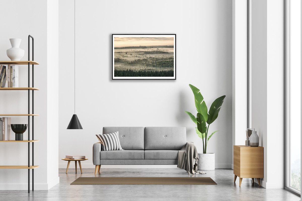 Framed aerial photo of northern forest shrouded in mist and clouds, morning sunlight, white living room wall.