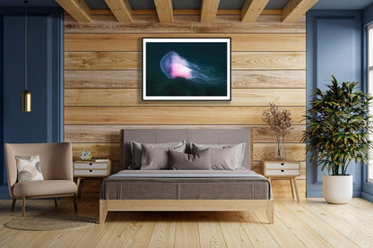 Framed photo of large violet jellyfish drifting in Norwegian Sea, wooden bedroom wall.