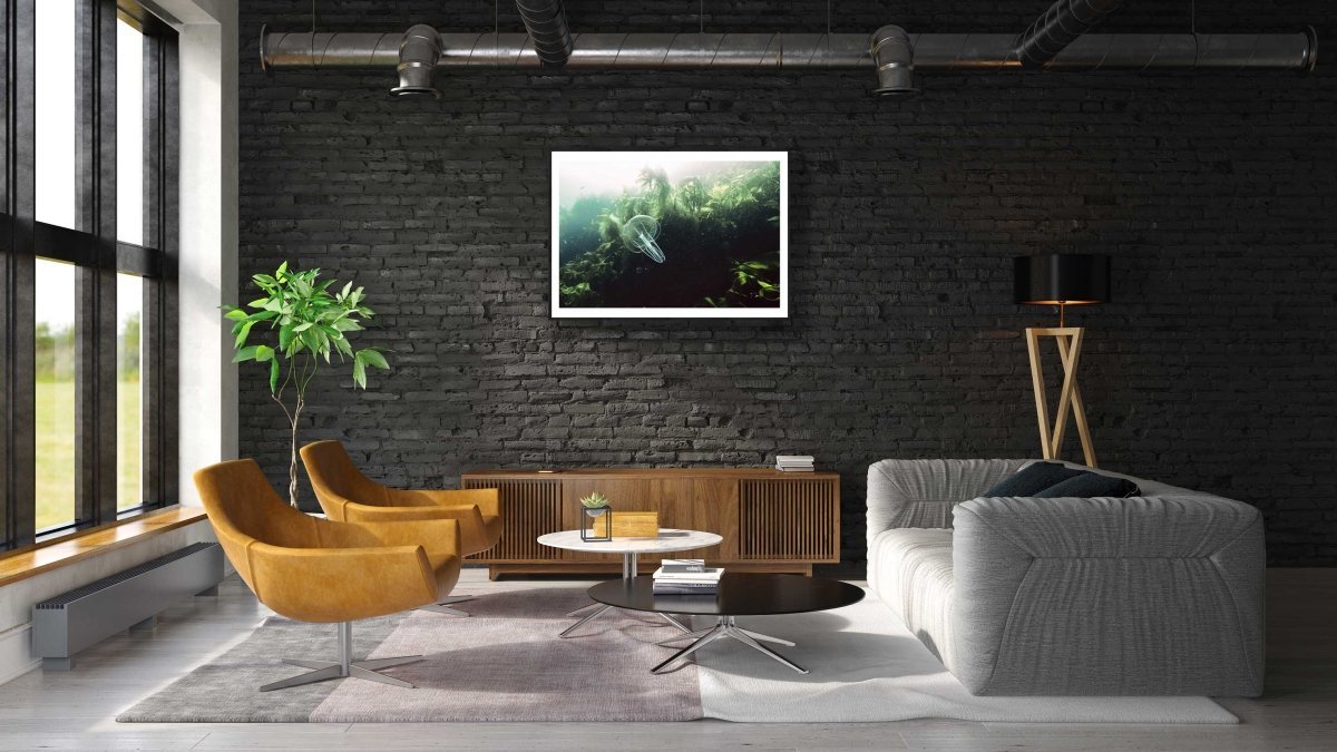 Framed photo of comb jelly gliding through kelp forest, Norwegian Sea, black brick living room wall.