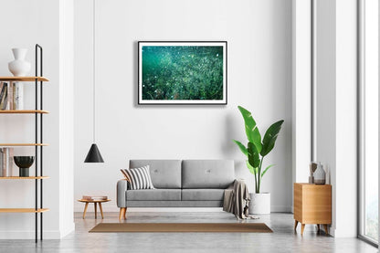 Framed photo of underwater flooded lake with air bubbles, magical atmosphere, white living room wall.