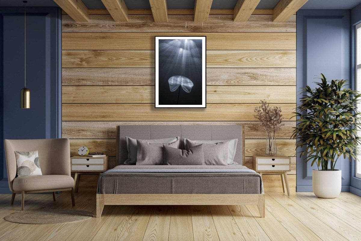 Framed photo of underwater water lily leaf reaching for light, wooden bedroom wall.
