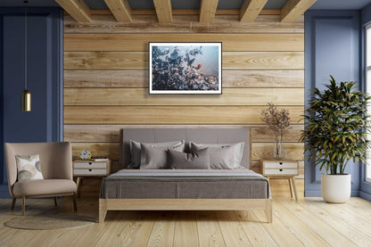 Framed underwater swirling autumn leaves photo, wooden bedroom wall above bed.