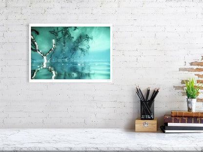 Surreal underwater branches reflecting on surface, displayed on white wall in living room.