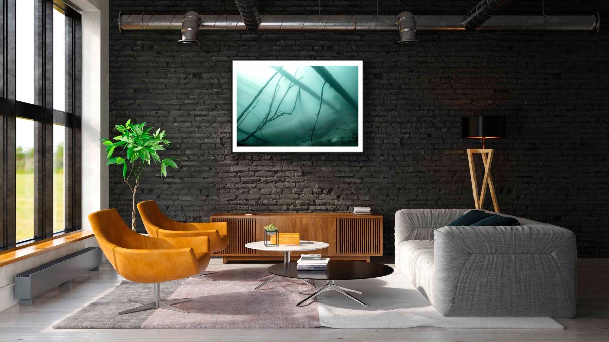 Framed photo of sunken forest underwater with mist, eerie atmosphere, black brick living room wall.