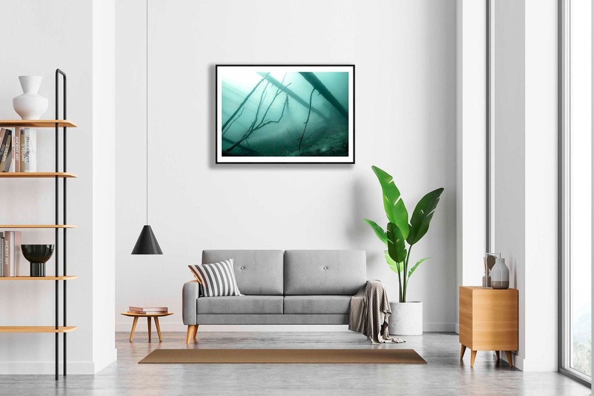 Framed photo of sunken forest underwater with mist, eerie atmosphere, white living room wall.