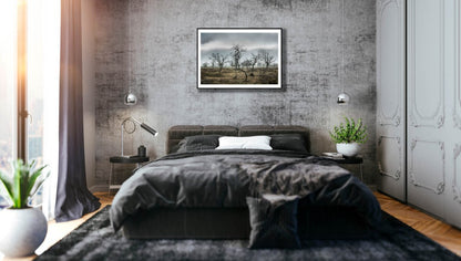 Framed photo of autumnal mountain birches against overcast sky, black-framed, grey stone bedroom wall.