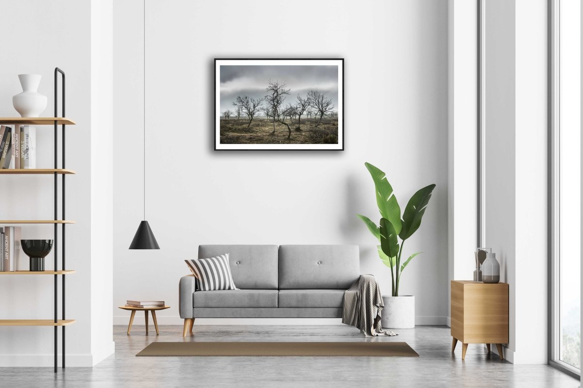 Framed photo of autumnal mountain birches against overcast sky, white living room wall.
