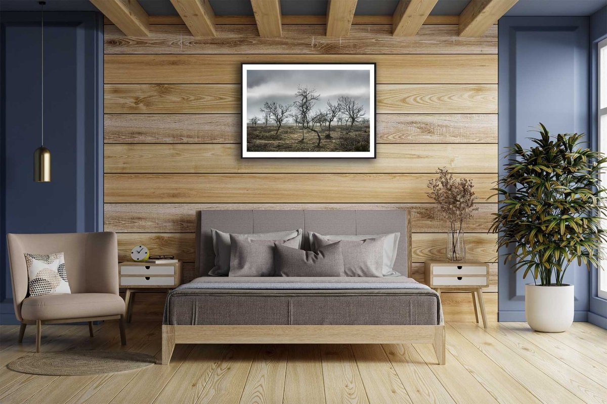Framed photo of autumnal mountain birches against overcast sky, wooden bedroom wall.
