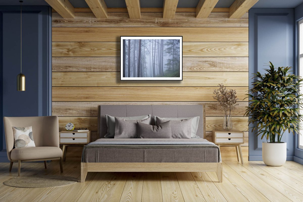 Framed photo of misty old pine forest during blue hour, wooden bedroom wall.