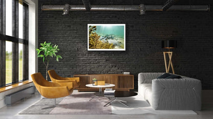 Framed fine art photography print of Sea urchins and bladderwrack bask in sunlight on seabed and is hung on a black brick wall above a cabinet in a modern living room.