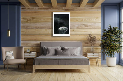 Framed underwater photo of dead perch rising from bottom, hung on wooden wall above bed in bedroom.